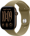 Apple Watch Series 12
