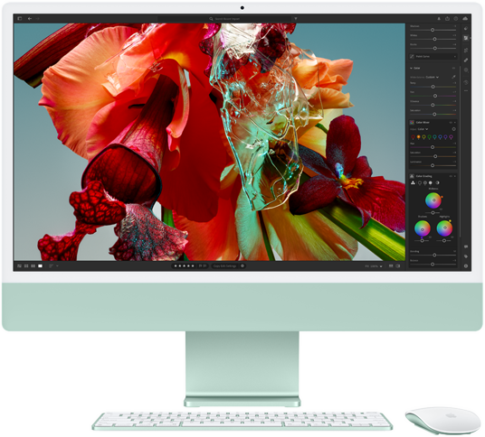 หน้าจอของ iMac แสดงรูปภาพดอกไม้สีสันสดใสใน Adobe Lightroom เพื่อแสดงให้เห็นถึงขอบเขตสีและความละเอียดของจอภาพ Retina 4.5K