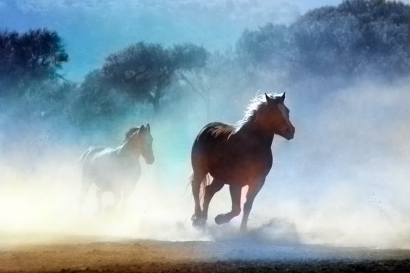 F11iQlZmPY9AAAAAElFTkSuQmCC-800x533