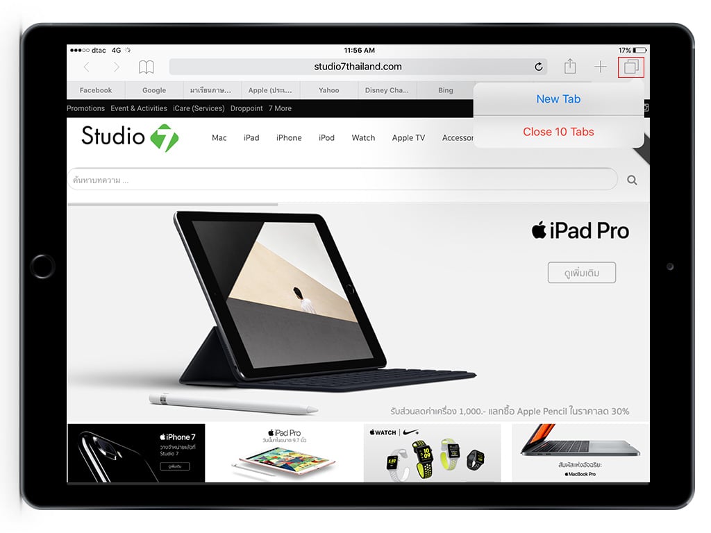 safari-all-tab4