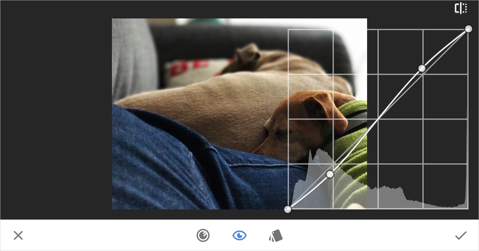 snapseedcurves_feature