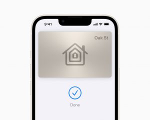 Apple iOS 15