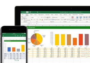 Microsoft 365 Business for Mac - Excel